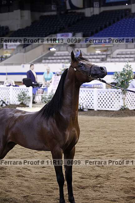 Proof 11r13_0099