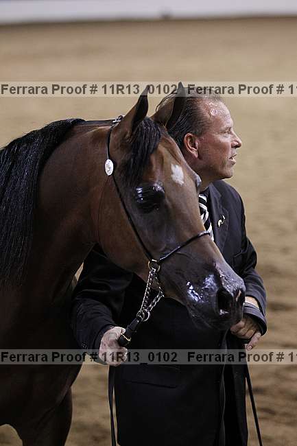 Proof 11r13_0102
