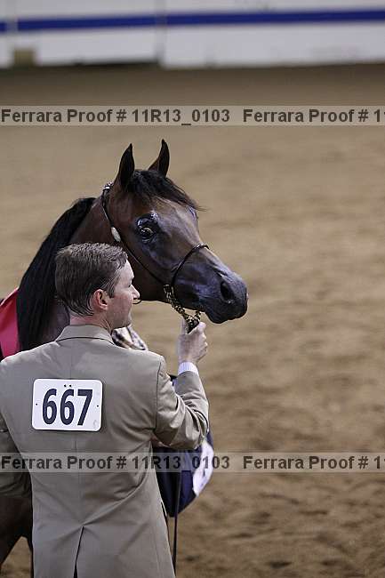 Proof 11r13_0103