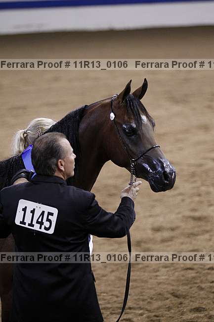 Proof 11r13_0106