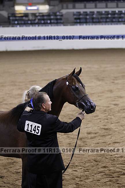 Proof 11r13_0107