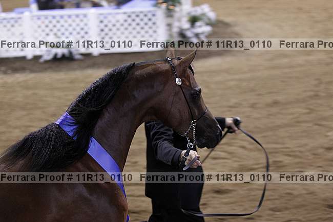 Proof 11r13_0110