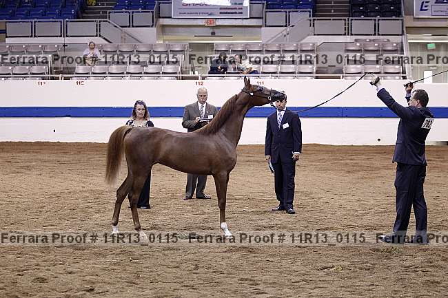 Proof 11r13_0115