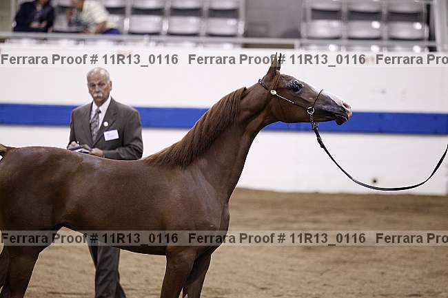 Proof 11r13_0116