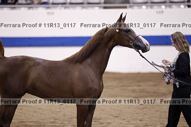 Proof 11r13_0117