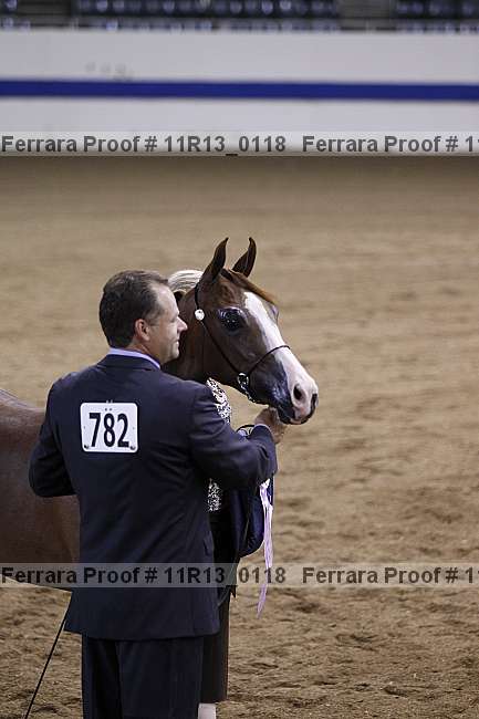 Proof 11r13_0118