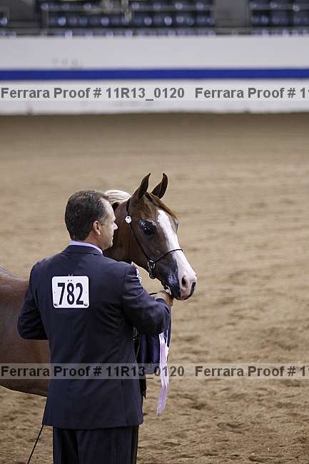 Proof 11r13_0120