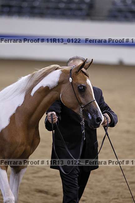 Proof 11r13_0122