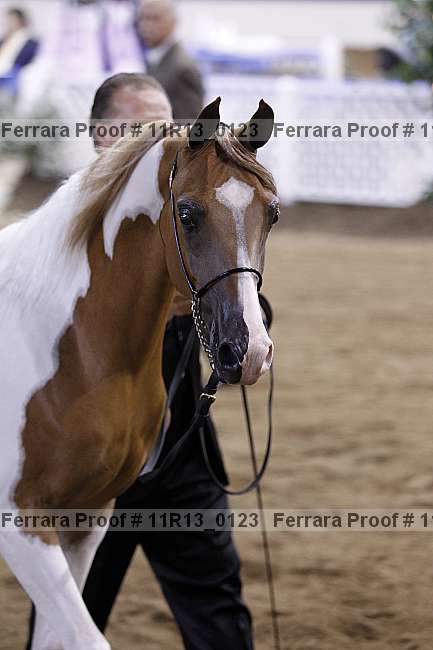 Proof 11r13_0123