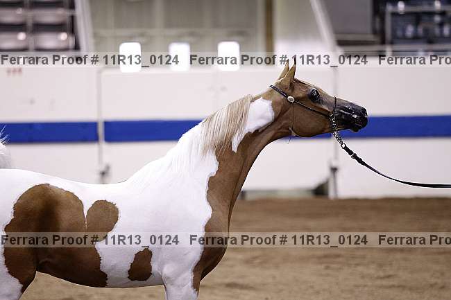 Proof 11r13_0124