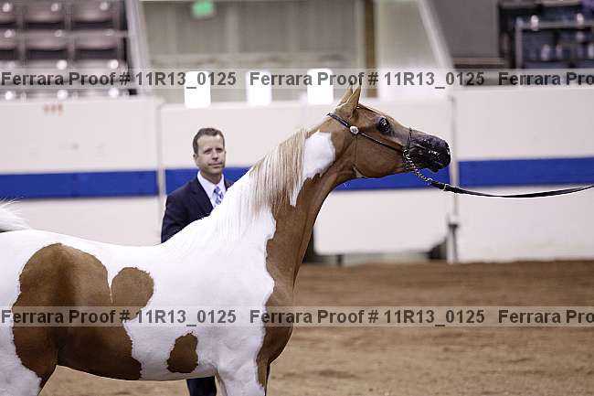 Proof 11r13_0125
