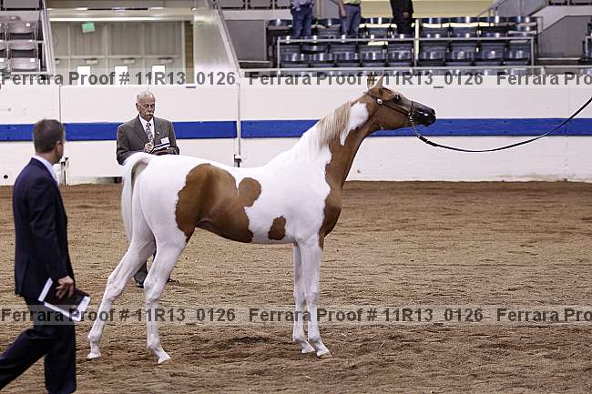 Proof 11r13_0126