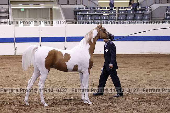 Proof 11r13_0127