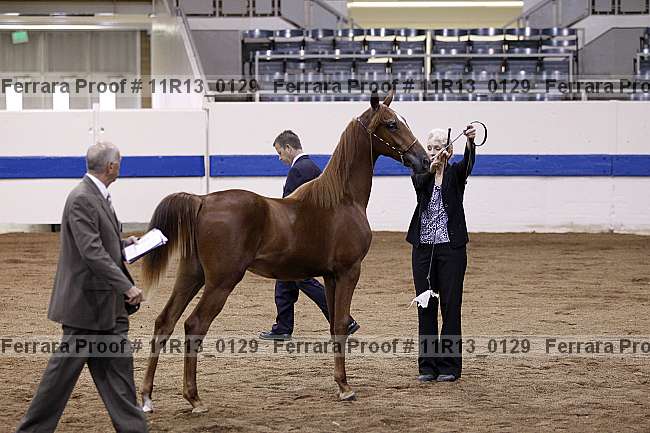 Proof 11r13_0129