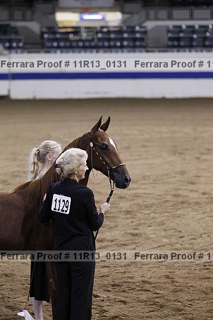Proof 11r13_0131