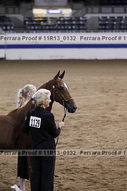 Proof 11r13_0132