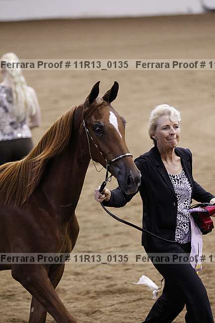 Proof 11r13_0135