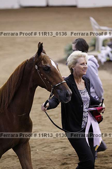 Proof 11r13_0136