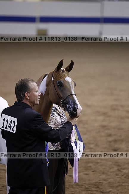Proof 11r13_0138