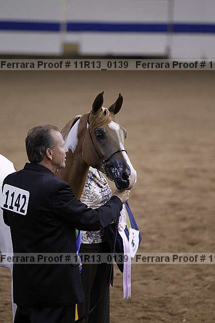 Proof 11r13_0139