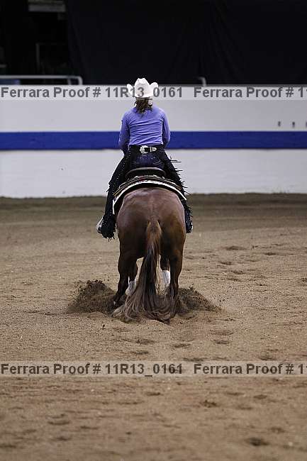 Proof 11r13_0161