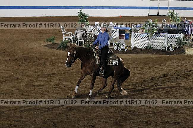 Proof 11r13_0162