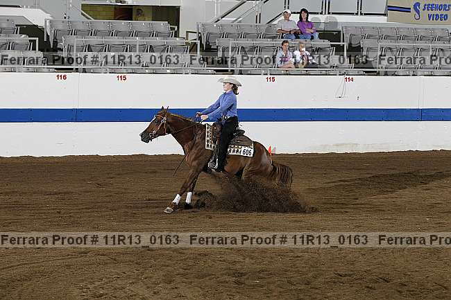 Proof 11r13_0163