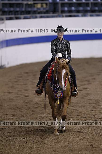 Proof 11r13_0175