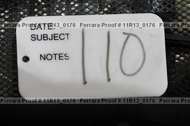 Proof 11r13_0176
