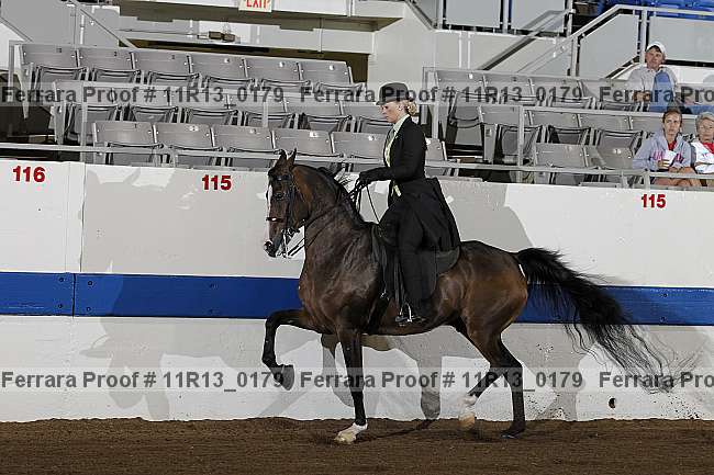 Proof 11r13_0179