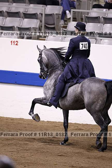 Proof 11r13_0182