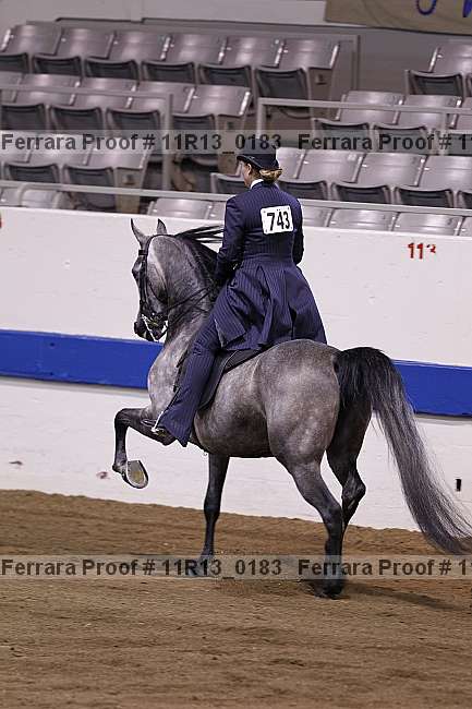 Proof 11r13_0183