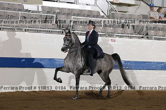 Proof 11r13_0184