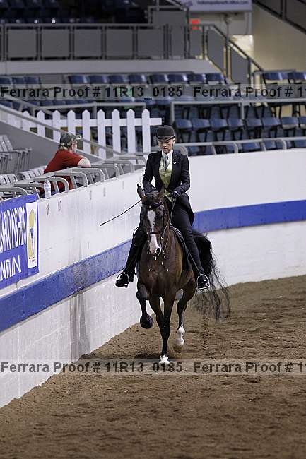 Proof 11r13_0185