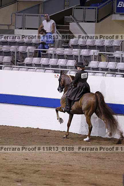 Proof 11r13_0188