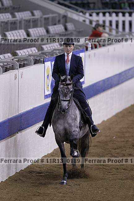 Proof 11r13_0189
