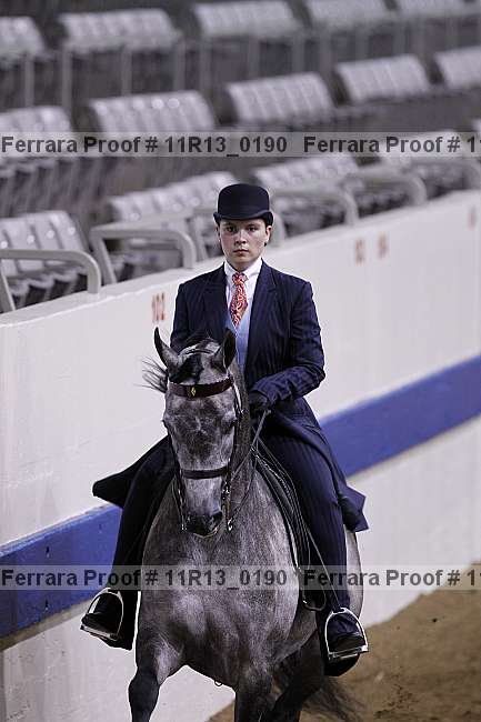 Proof 11r13_0190