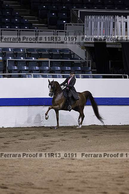 Proof 11r13_0191