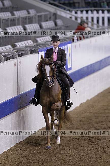 Proof 11r13_0194