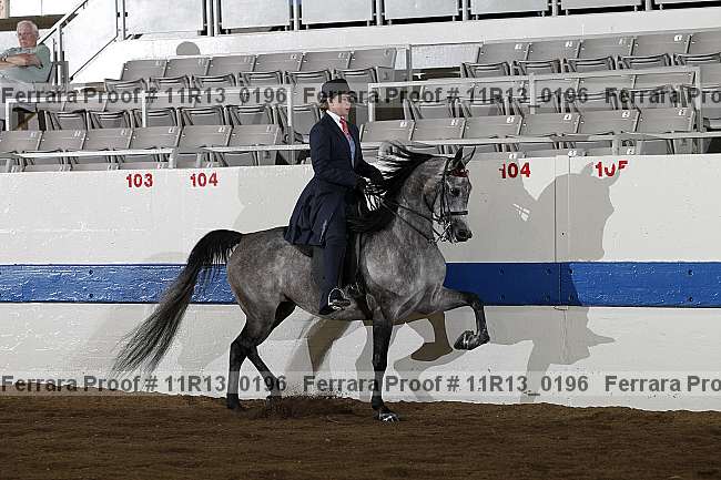 Proof 11r13_0196