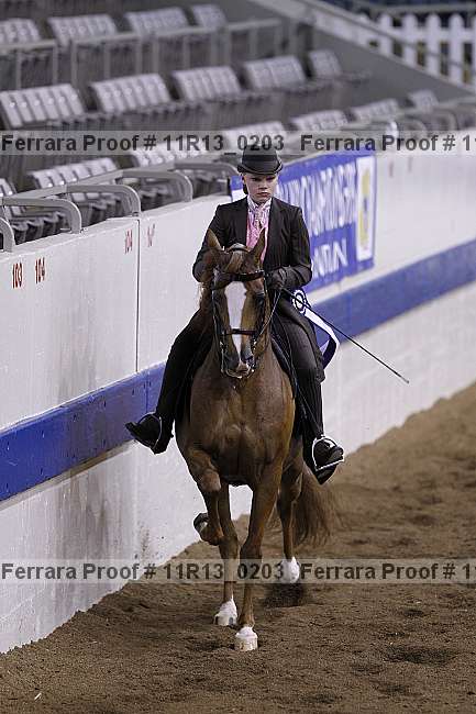 Proof 11r13_0203