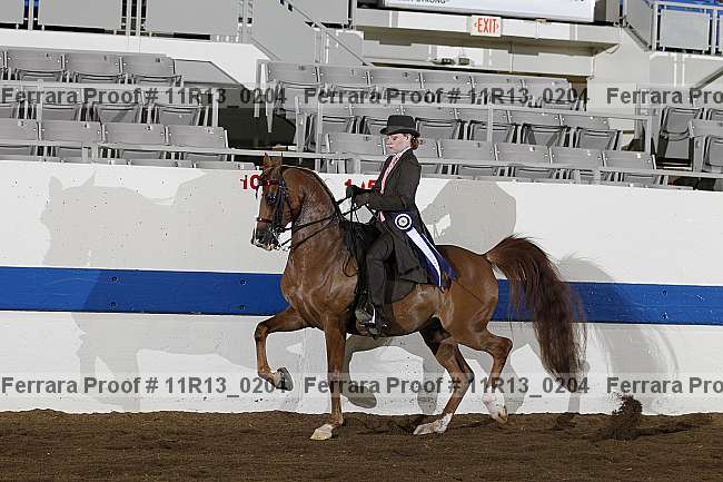 Proof 11r13_0204