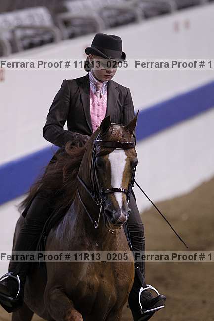 Proof 11r13_0205