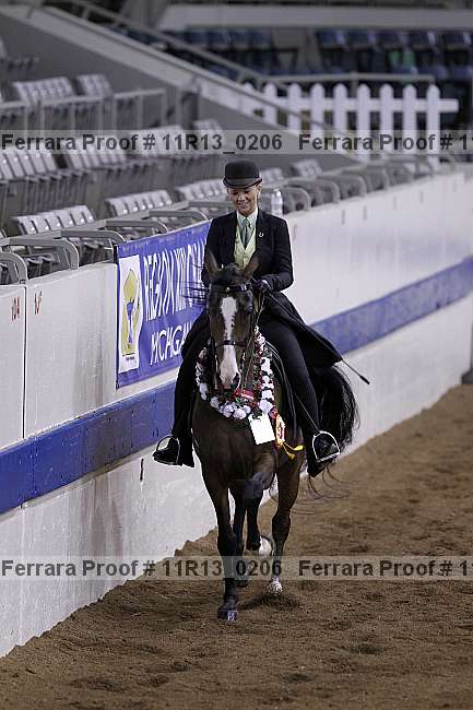Proof 11r13_0206