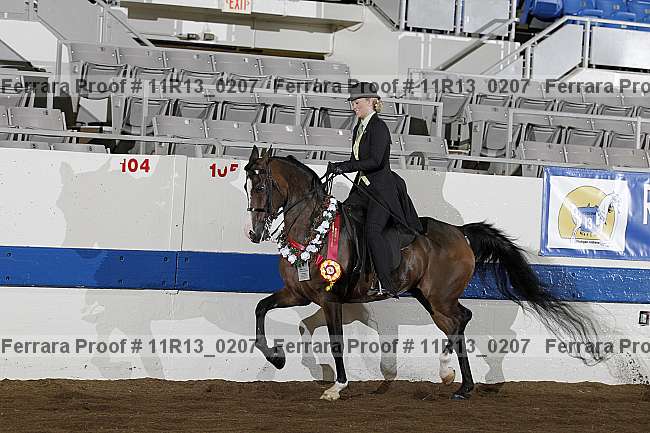Proof 11r13_0207
