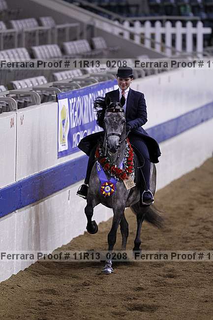 Proof 11r13_0208
