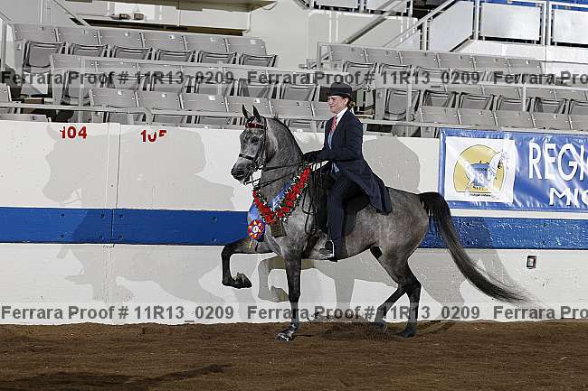 Proof 11r13_0209