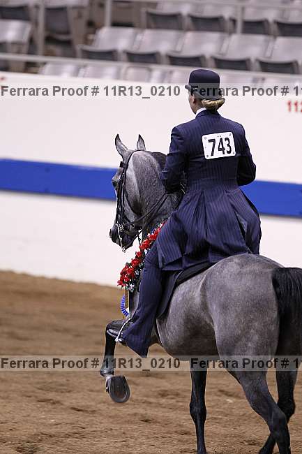 Proof 11r13_0210