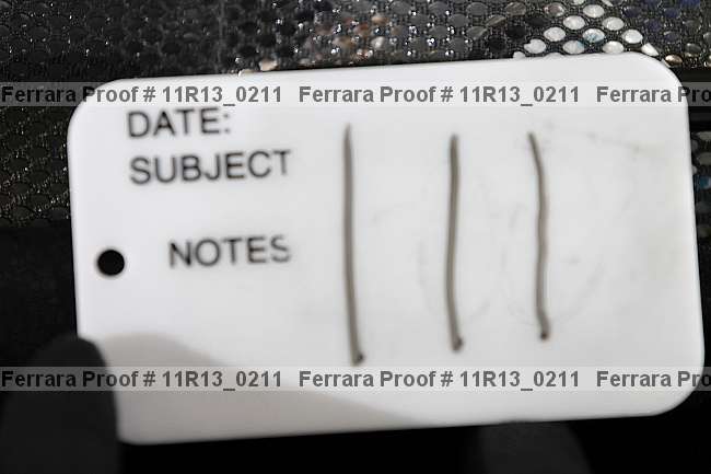 Proof 11r13_0211