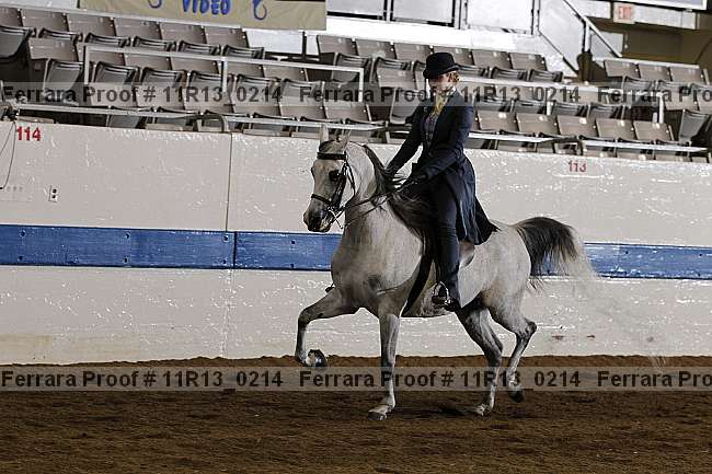 Proof 11r13_0214